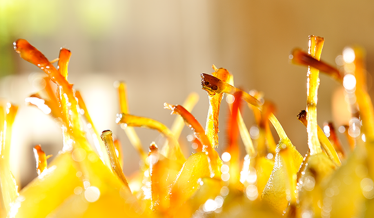 poires confites 1 768x448